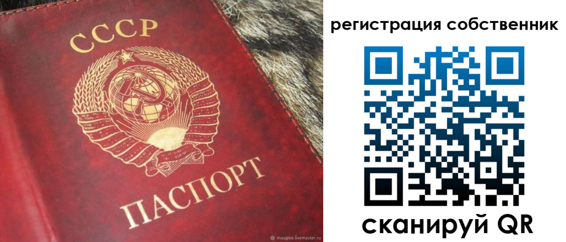 временная регистрация надежно в Жукове