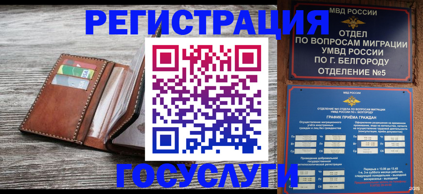 временная регистрация гарантия в Жукове